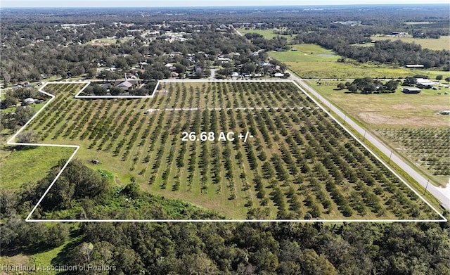 Stenstrom Rd, Wauchula FL, 33873 land for sale