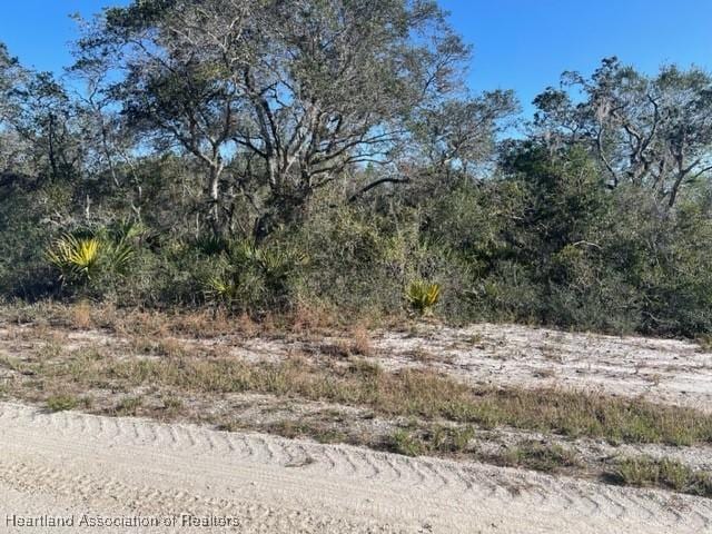 239 Lakeland Dr, Lake Placid FL, 33852 land for sale