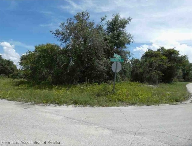 3022 Buttercup Ln, Lake Placid, FL 33852 - photo 1