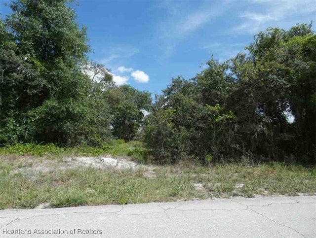 3022 Buttercup Ln, Lake Placid, FL 33852 - photo 6