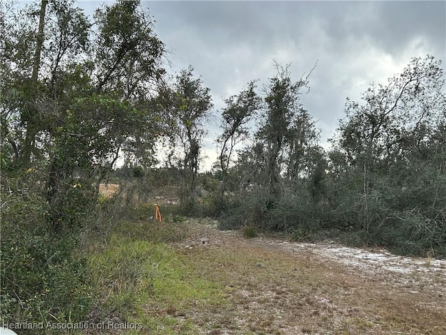 Listing photo 2 for TBD(PARCEL2) Crawford Court, Sebring FL 33875