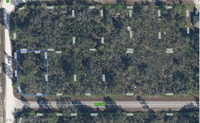 3031 Beech Ave, Lake Placid, FL 33852 - photo 1