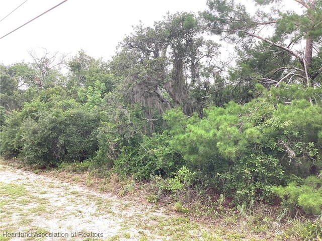 200 Hallmark Ave, Lake Placid, FL 33852 - photo 8