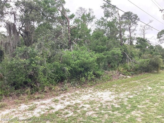 200 Hallmark Ave, Lake Placid, FL 33852 - photo 6