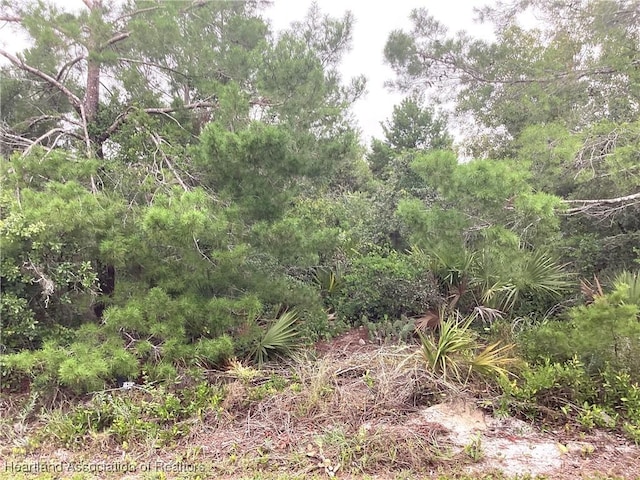 200 Hallmark Ave, Lake Placid, FL 33852 - photo 7