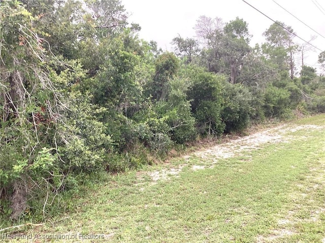 200 Hallmark Ave, Lake Placid, FL 33852 - photo 3