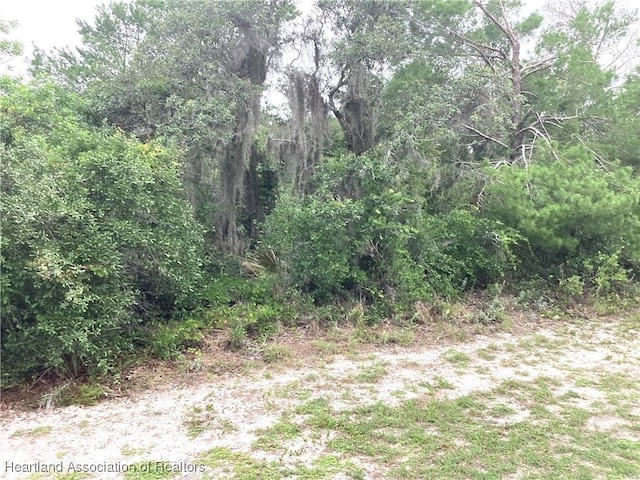 200 Hallmark Ave, Lake Placid, FL 33852 - photo 1