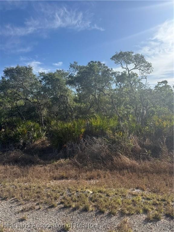 603 Ron Adams Pl, Lake Placid, FL 33852