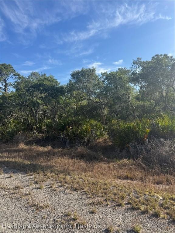 603 Ron Adams Pl, Lake Placid, FL 33852