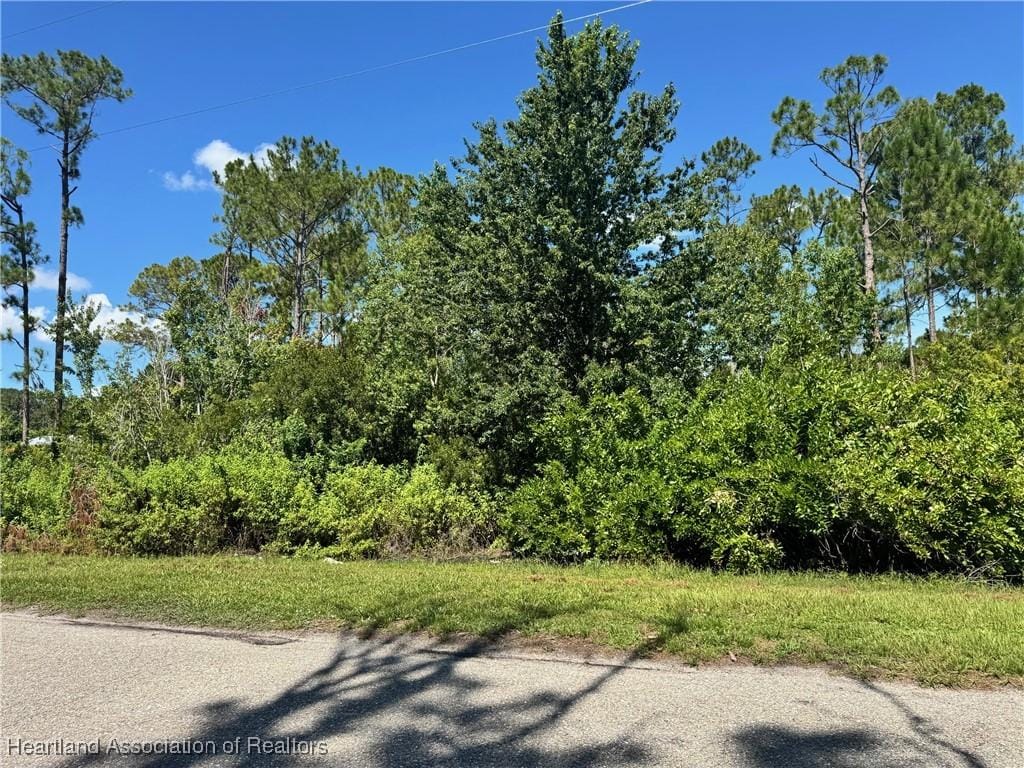 1607 Riley Ave, Sebring, FL 33872 - photo 1