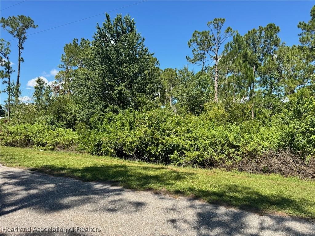1607 Riley Ave, Sebring, FL 33872 - photo 3