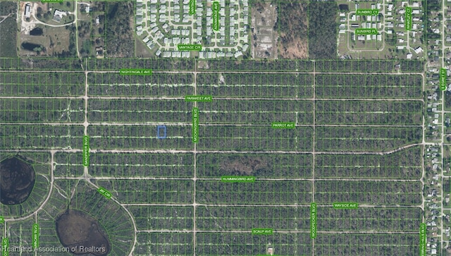 617 Parrot Ave, Sebring FL, 33870 land for sale