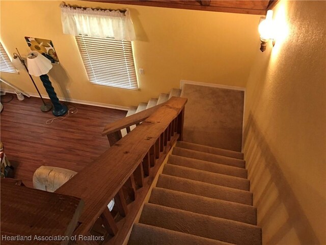 200 Park Dr, Lake Placid, FL 33852 - photo 10