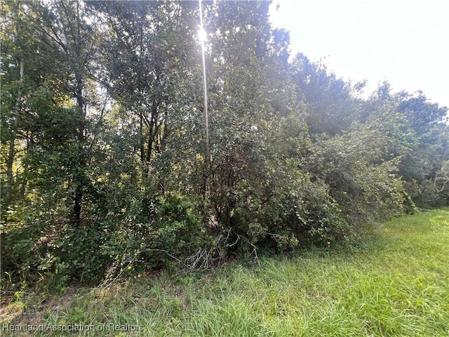 1385 S Jeter Rd, Avon Park FL, 33825 land for sale