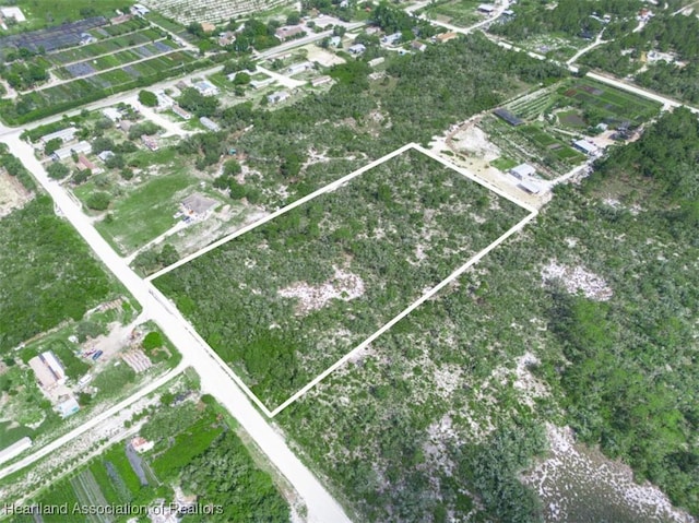 141 Polk St, Lake Placid, FL 33852 - photo 3