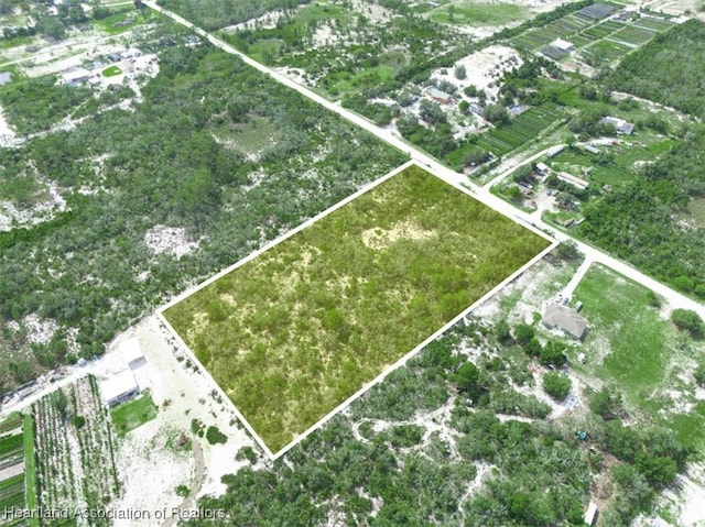 141 Polk St, Lake Placid, FL 33852 - photo 2