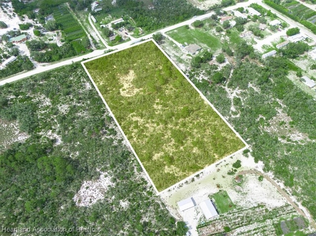 141 Polk St, Lake Placid, FL 33852 - photo 4
