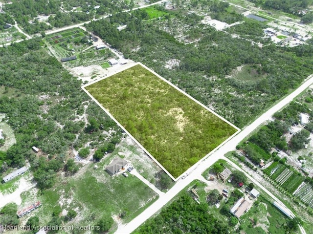 141 Polk St, Lake Placid, FL 33852 - photo 1