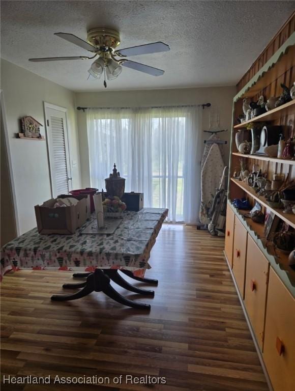 119 Ohio Ave, Wauchula, FL 33890 - photo 11