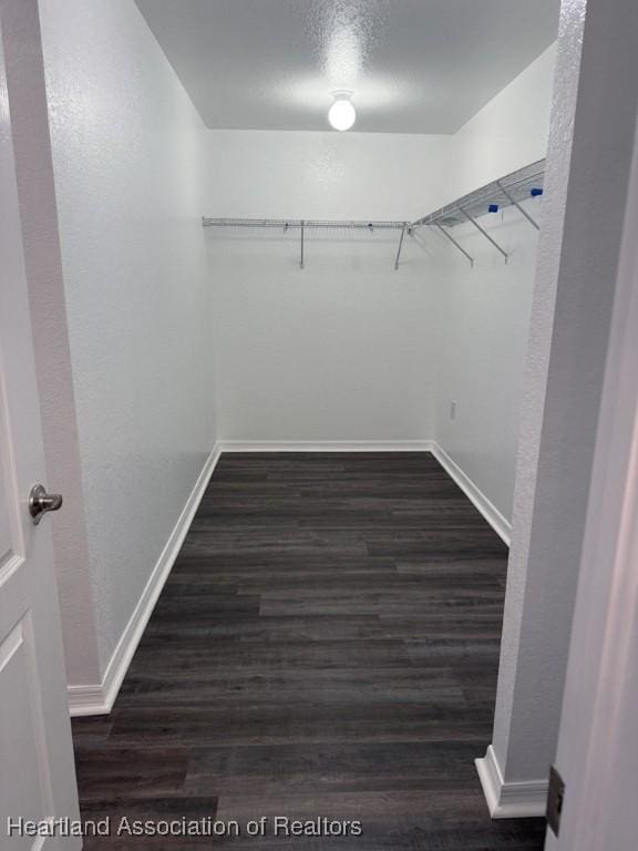 525 Central Ln, Frostproof, FL 33843 - spacious closet with dark wood-style flooring