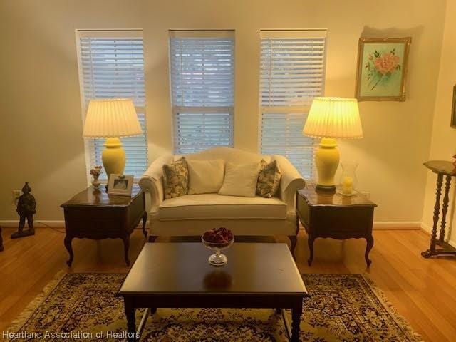 living room with hardwood / wood-style flooring