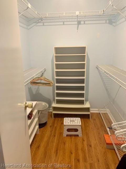 spacious closet with hardwood / wood-style flooring