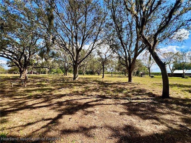 301 S Wells Ave, Avon Park, FL 33825 - photo 6