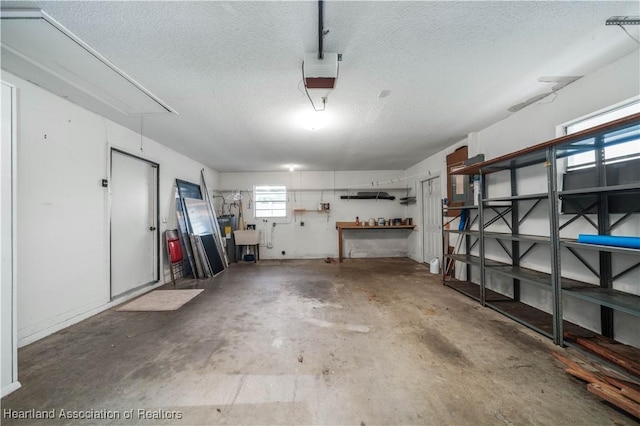 garage with a garage door opener and sink