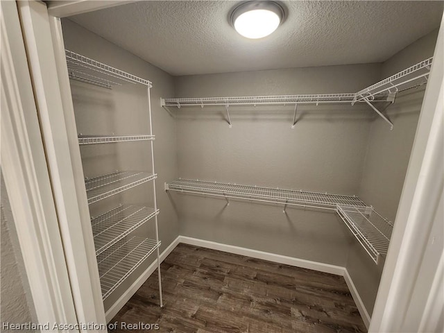 walk in closet with dark wood-type flooring