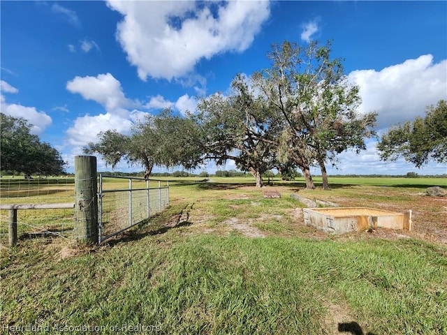 view of yard featuring a rural view