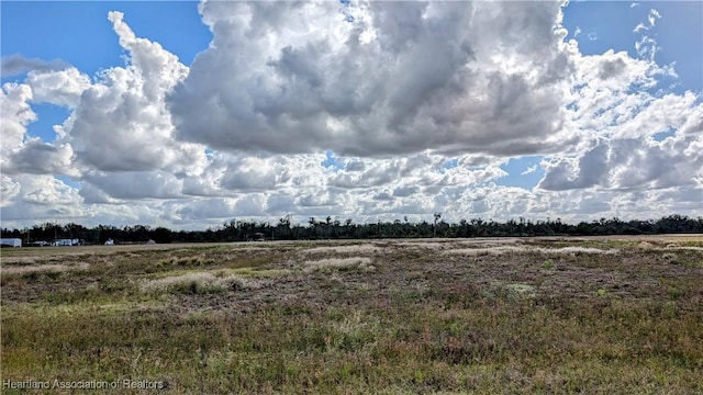 Old Bradenton Rd, Wauchula FL, 33873 land for sale