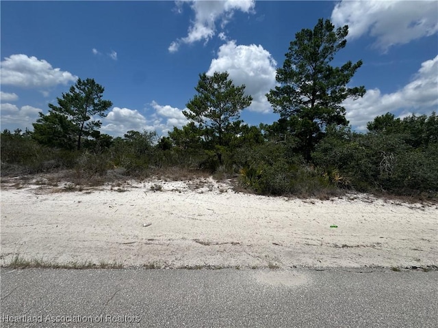 321 Coolidge Ave NE, Lake Placid, FL 33852 - photo 5
