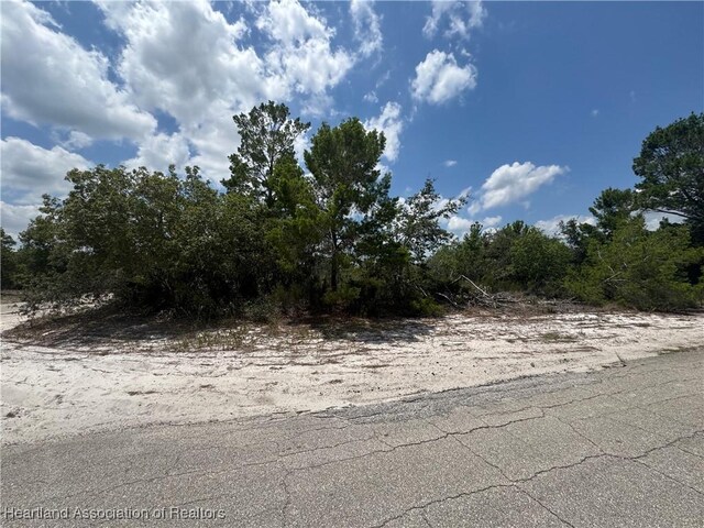 321 Coolidge Ave NE, Lake Placid, FL 33852 - photo 4