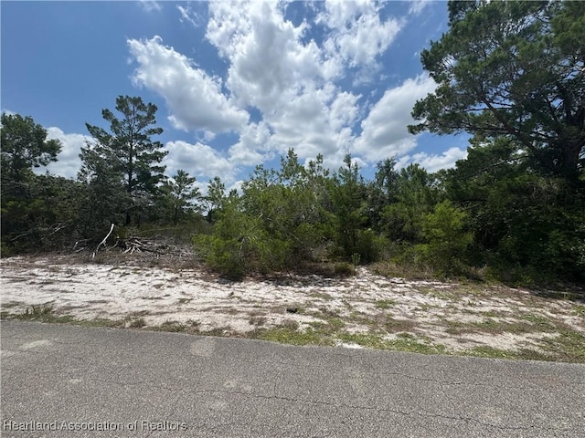 321 Coolidge Ave NE, Lake Placid, FL 33852 - photo 1