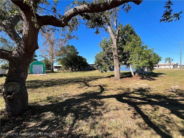 view of yard with a shed