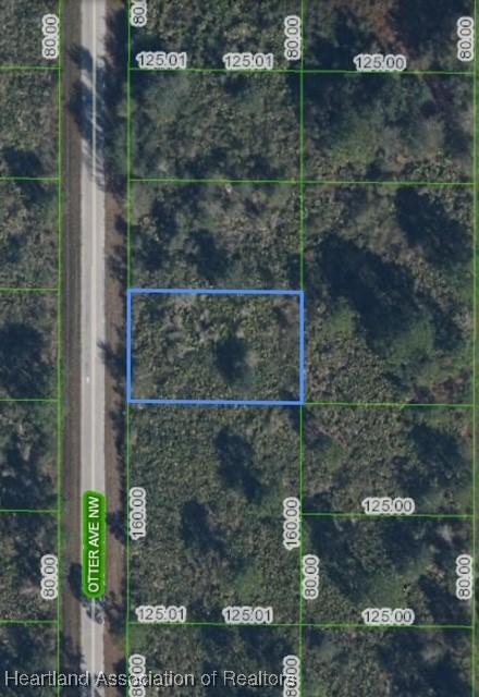 228 NW Otter St, Lake Placid, FL 33852 - photo 1