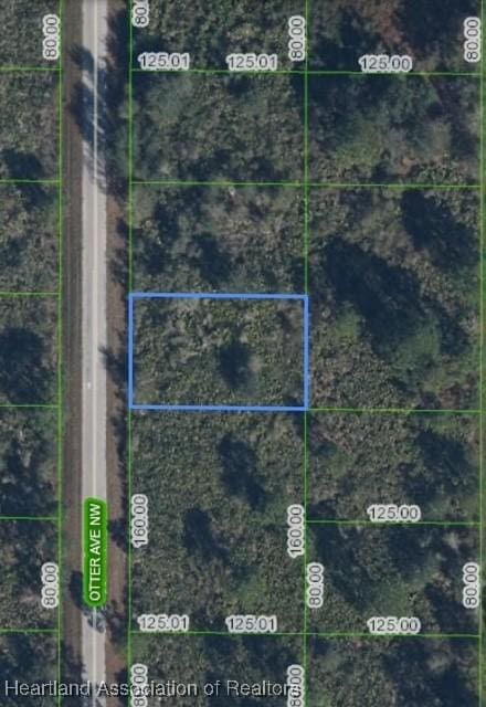 228 NW Otter St, Lake Placid, FL 33852 - photo 1