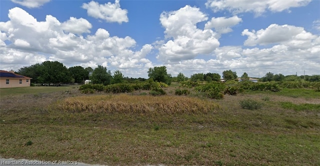 2554 W Shula Rd, Avon Park FL, 33825 land for sale