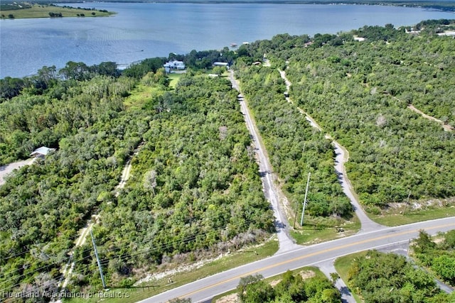 502 Lake Mirror Dr, Lake Placid, FL 33852 - photo 43