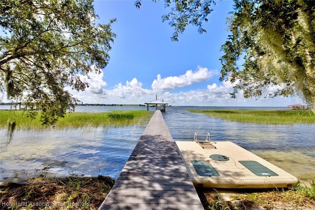 502 Lake Mirror Dr, Lake Placid, FL 33852 - photo 40