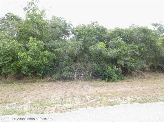 235 Flamingo St, Lake Placid, FL 33852 - photo 4
