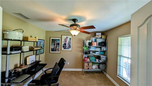 1779 State Road 62nd Rd, Bowling Green, FL 33834 - carpeted office space featuring visible vents, baseboards, a ceiling fan, and a healthy amount of sunlight