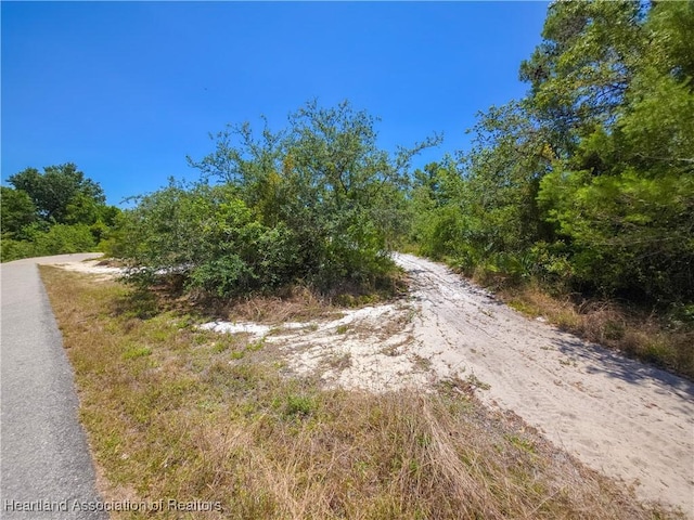 1503 Goldbud St, Lake Placid, FL 33852 - view of street