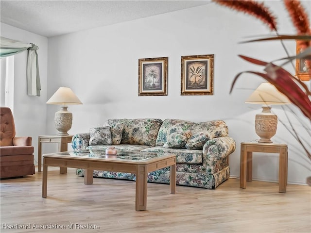 living room featuring light hardwood / wood-style floors