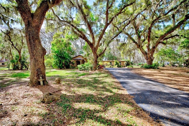 view of front of home with driveway