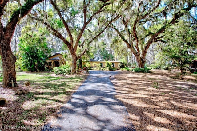view of road featuring aphalt driveway