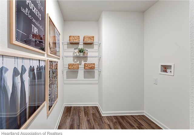 laundry area with hookup for a washing machine and dark hardwood / wood-style flooring