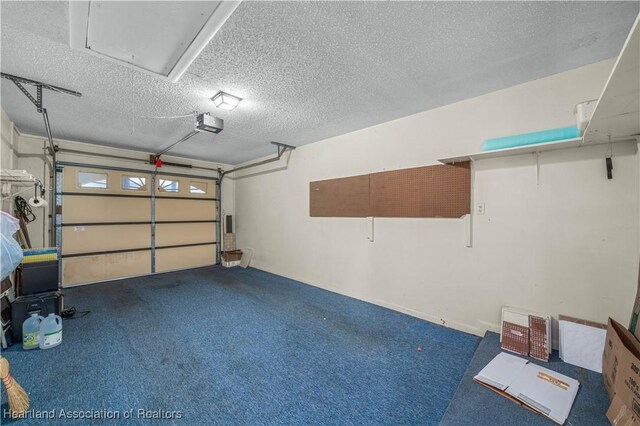 170 Parkview Cir, Lake Placid, FL 33852 - garage with a garage door opener