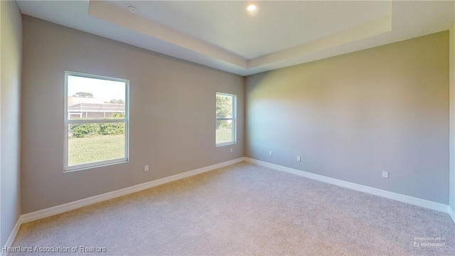 3900 Monza Dr, Sebring, FL 33872 - empty room featuring a tray ceiling, baseboards, and carpet flooring