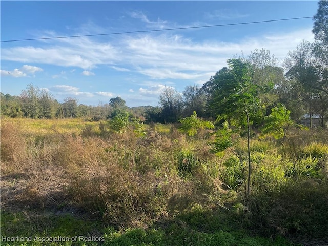 600 S Warfield Rd, Avon Park, FL 33825 - photo 5